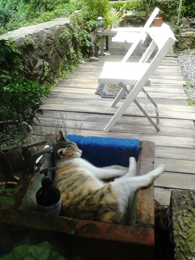 九份 ジウフェン アロマセラピー B＆B Bed & Breakfast エクステリア 写真